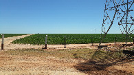 #11: Entrada da fazenda Alvorada - Alvorada Farm entrance