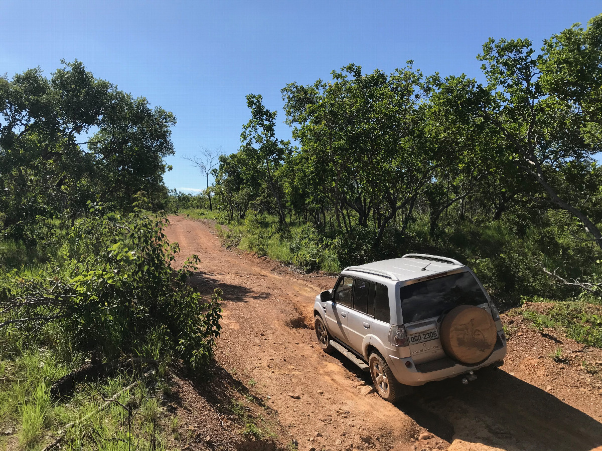 road and vegetation in the area