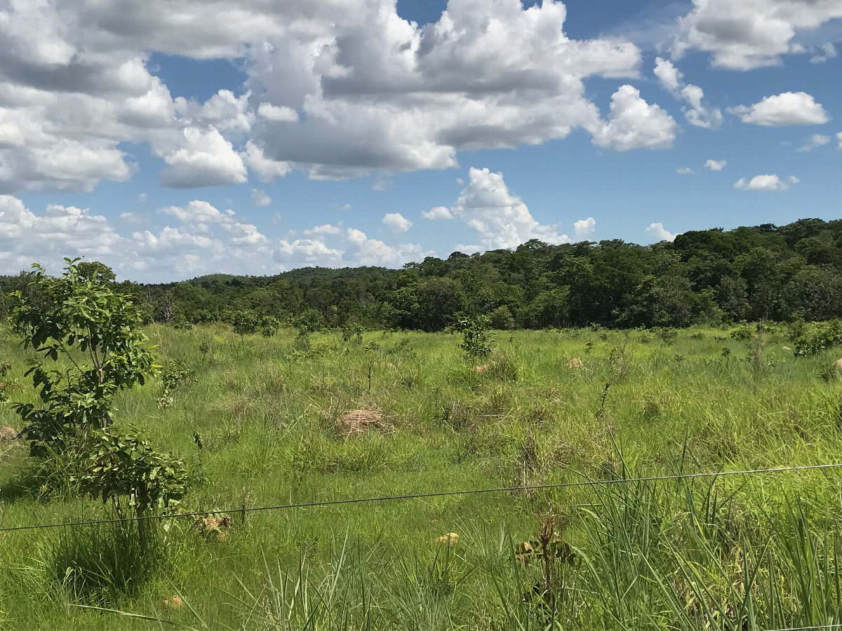 View from the road to the confluence area - 500m away