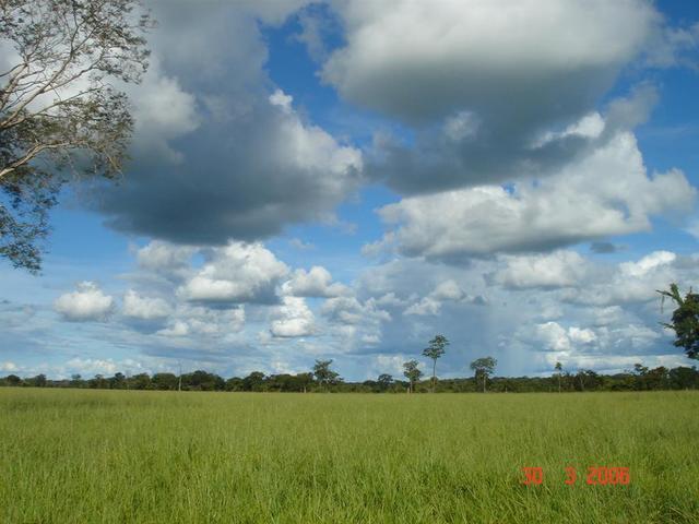 General view of confluence area