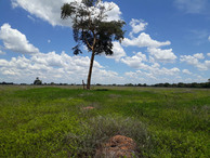 #5: Visão leste - east view