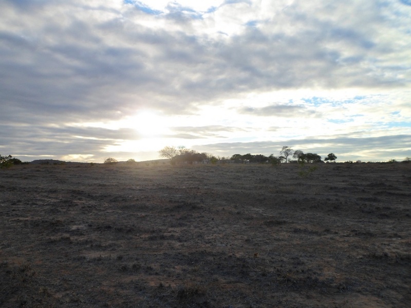 Visão leste, com o sol iniciando suas atividades - east view, with the sun starting her activities