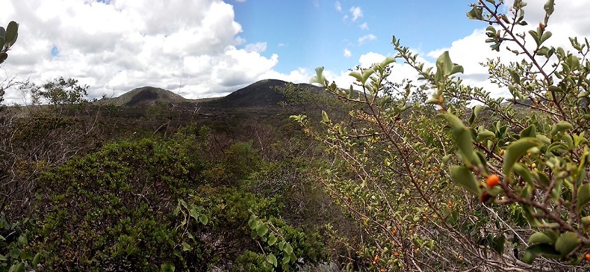 Visada panorâmica Sul. Panoramic view to south from the closest point we reached.