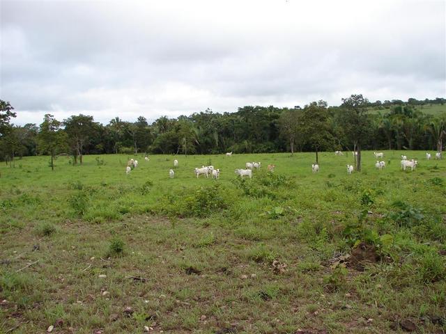 General view of confluence area