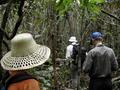 #7: Stephen, Menno and Barbara going through the jungle