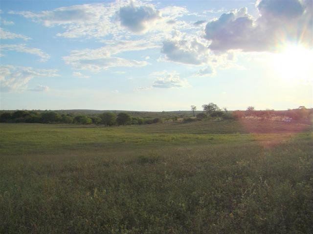 View to west from cp