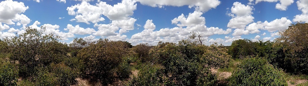 Vista panorâmica Norte (180º)