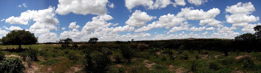 Vista panorâmica Sul (180º)