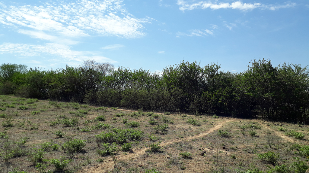 Visão geral - general view