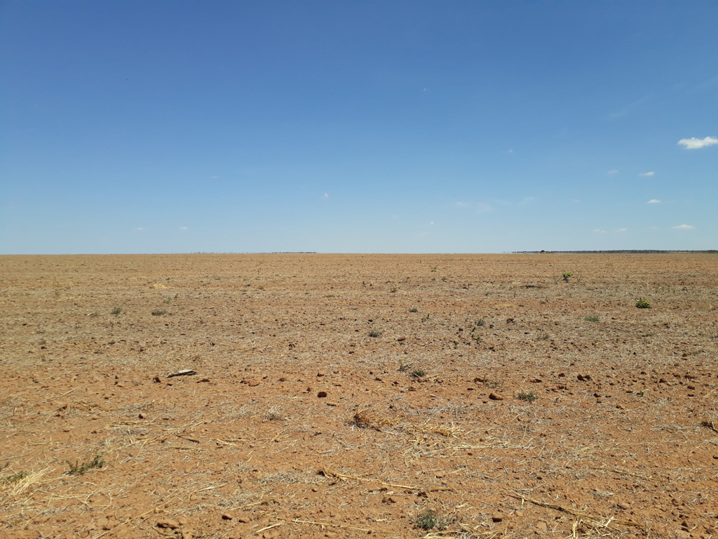 Visão oeste - west view