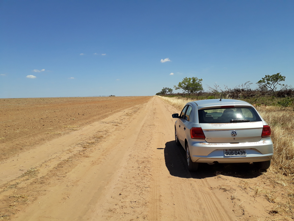 Borda da plantação, estrada que chega mais próximo da confluência - edge of the plantation, road that goes nearest to the confluence