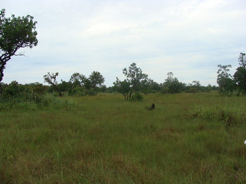 Vista Norte - North View