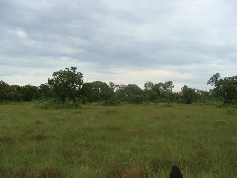 Vista Oeste - West View