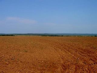 #1: The confluence is located in the  middle of a plowed field