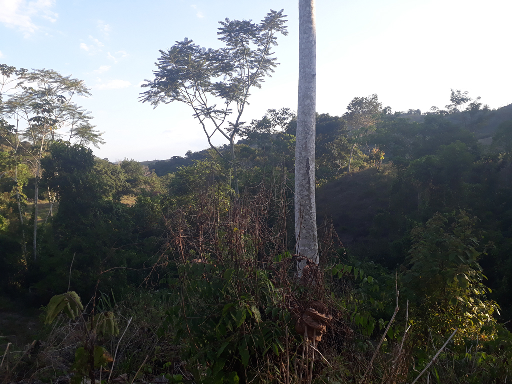 Visão sul - south view