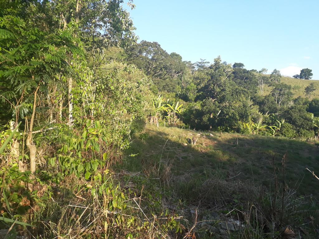 Visão leste - east view