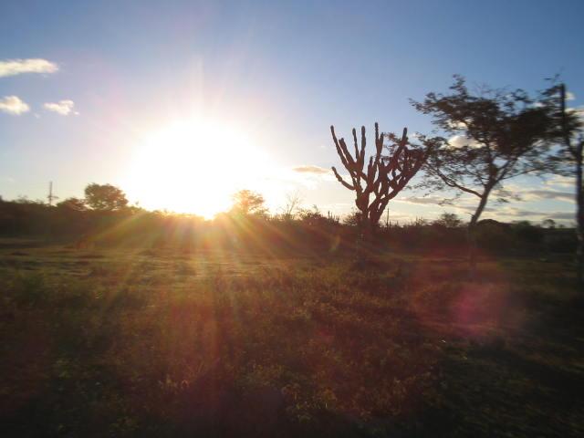 Visão Oeste, West view