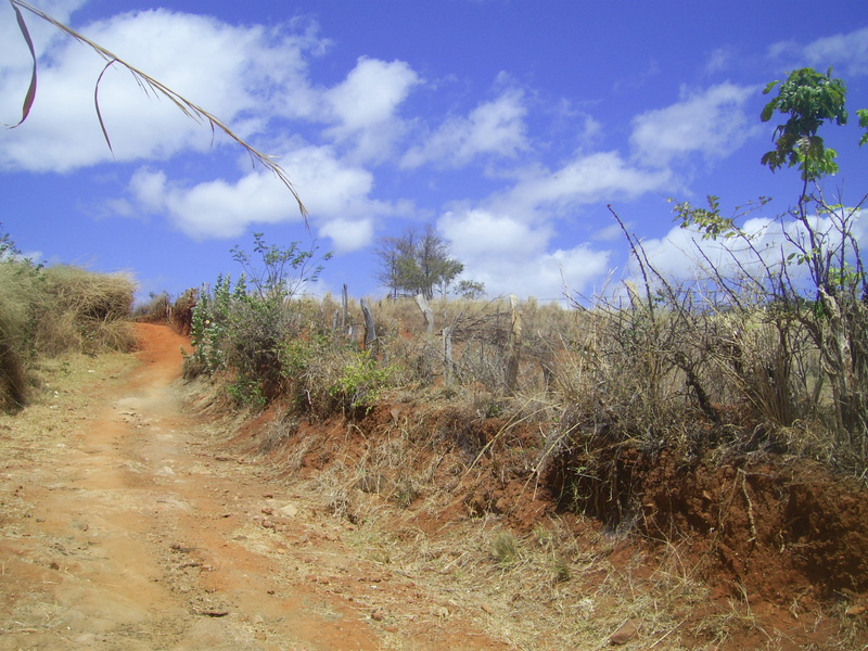 Visão geral - general view