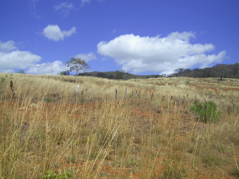 Visão oeste - west view