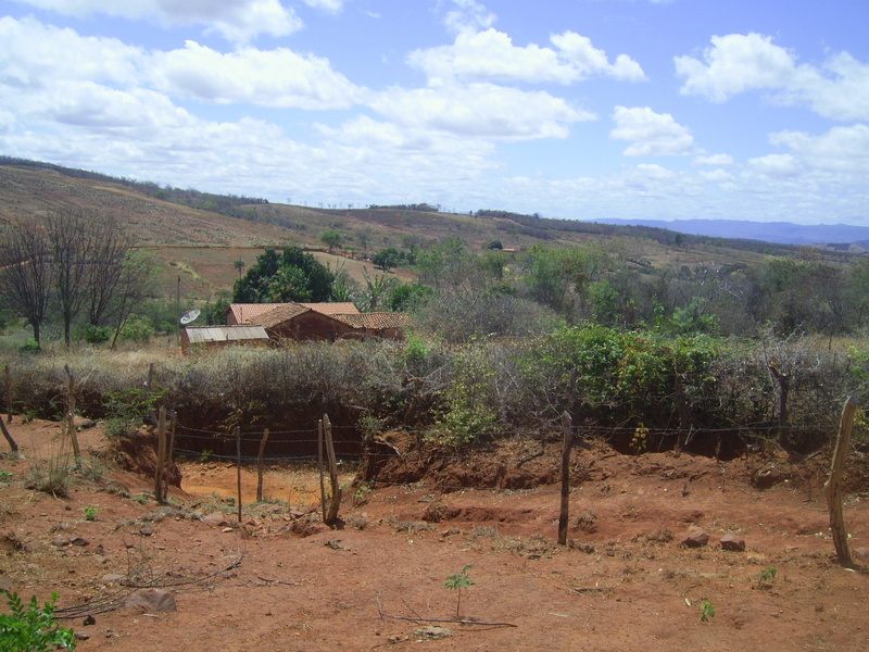 Visão leste - east view