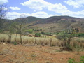 #7: Visão nordeste e o carro parado a 175 metros da confluência - northeast view and car stopped 175 meters close to the confluence