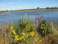 #8: Lake next to the road