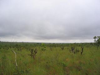 #1: General area, taken within 100 meters of the confluence.