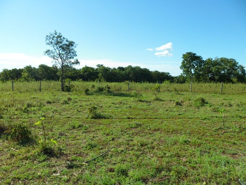 Visão geral - general view