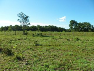 #1: Visão geral - general view