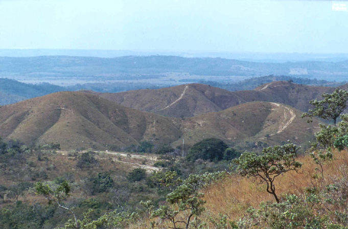 Northwest landscape