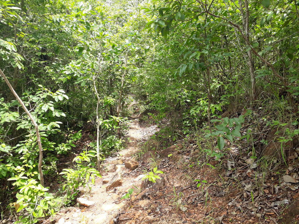 Trecho final de caminhada - final leg of hiking