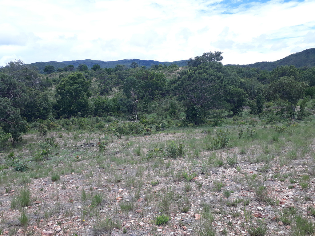 Visão geral - general view