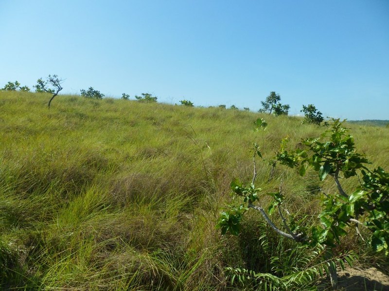 Visão sul - south view