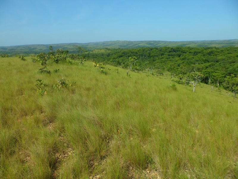 Paisagem da região da confluência - landscape of confluence region