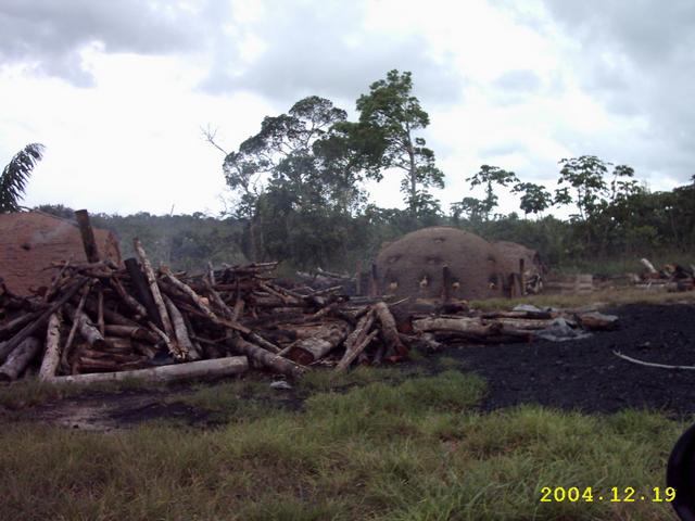 Carvoaria e vista geral