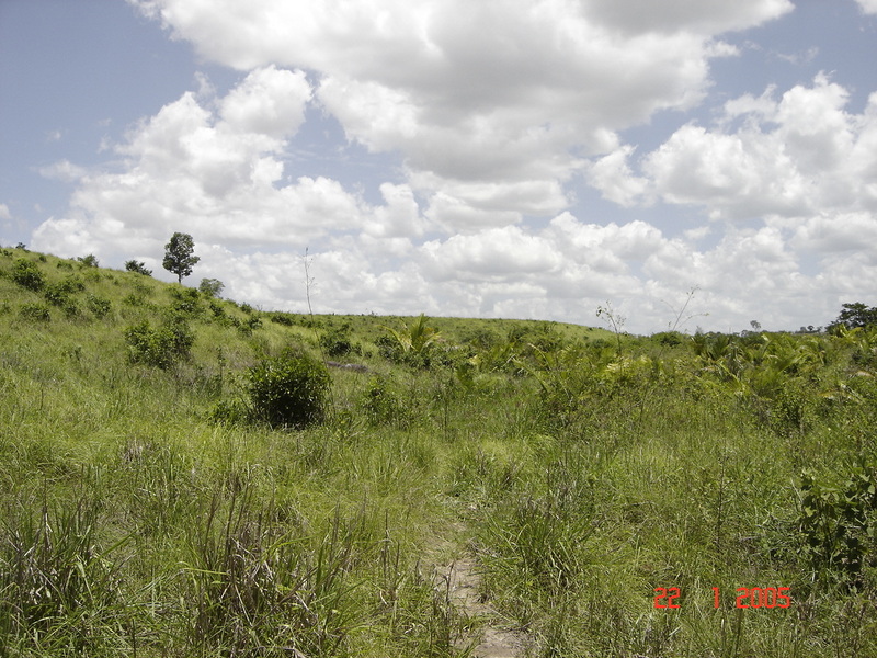 Visão Leste. East view