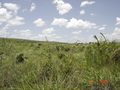 #3: Visão oeste. West view