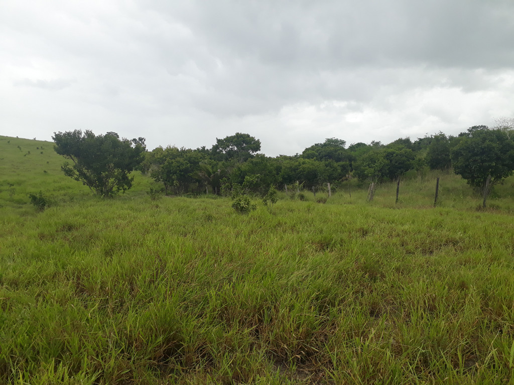 Visão geral - general view