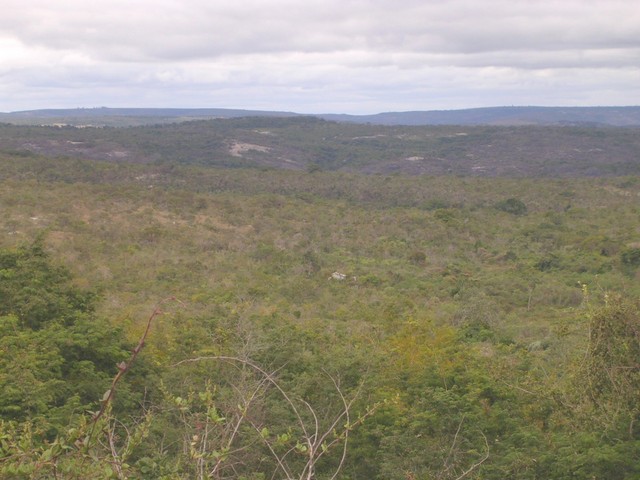 O telhado da casinha / zoom in hut's roof