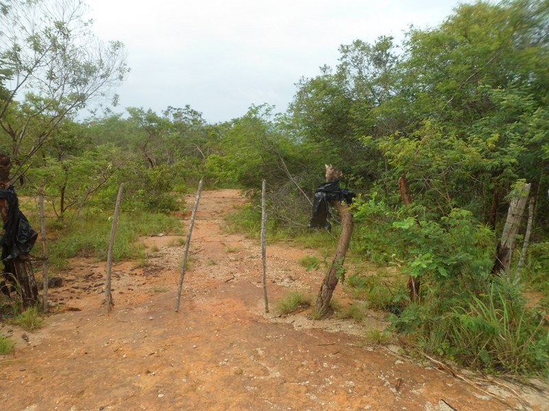 Início da caminhada - beginning of hike