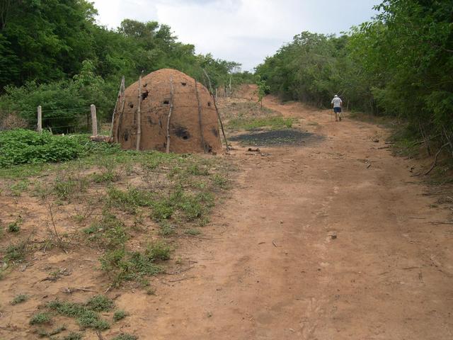 The wood oven (to produce coal from wood) and the gravel road far 1 km from confluence