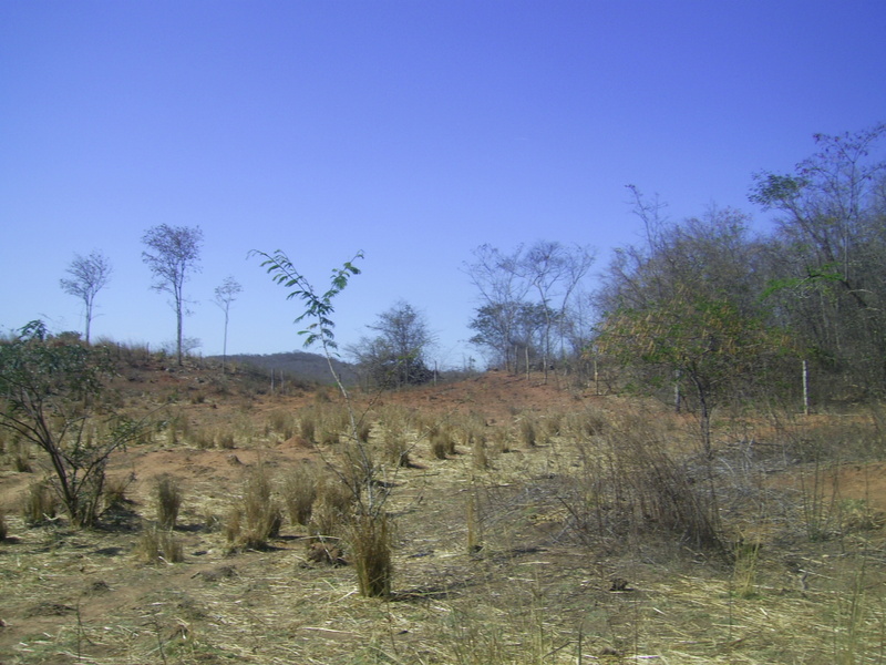 Visão geral - general view