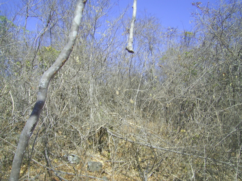 Visão leste - east view