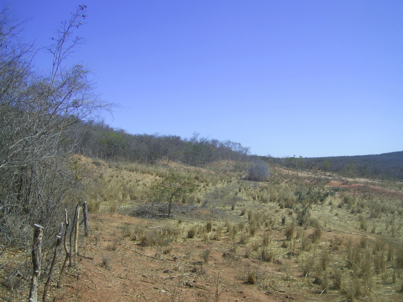 Visão sul - south view