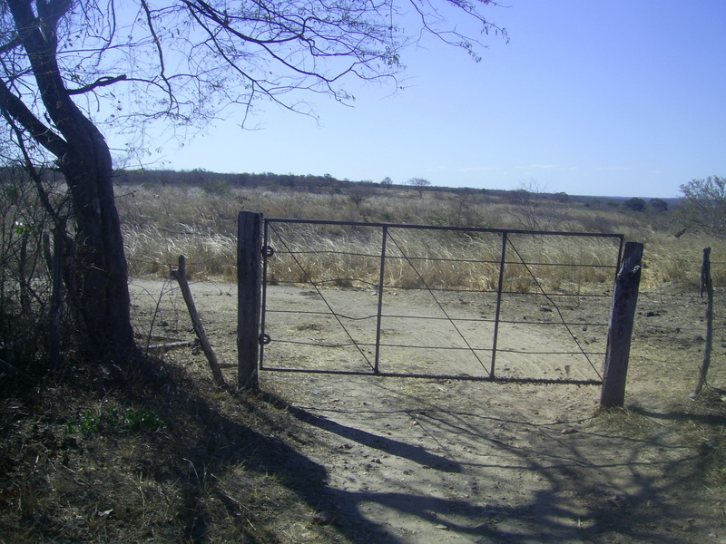 Porteira no caminho - gate in the way