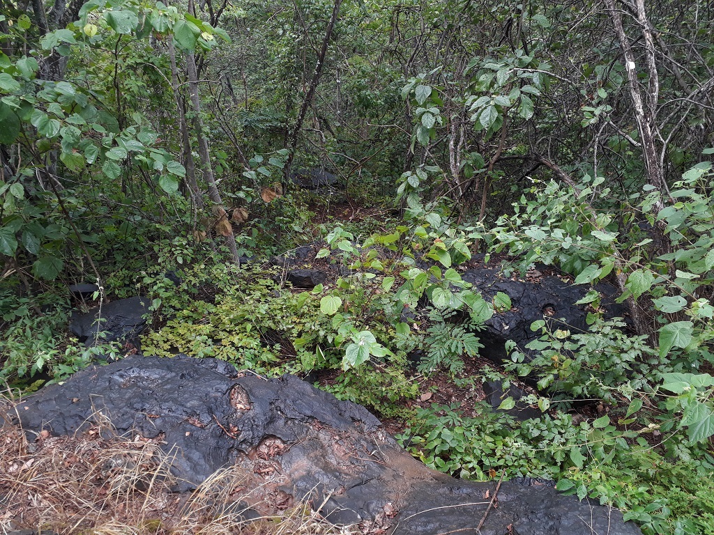 Os 13 metros finais até o ponto exato são por uma escada de pedras bastante perigosa sob chuva - The remaining 13 meters to the exact point are by a stone stairs very dangerous under rain