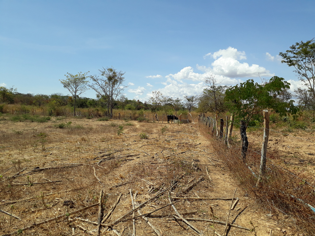 Visão leste - east view