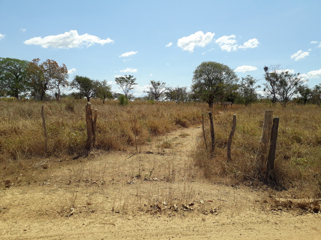 Início da caminhada - starting of hike