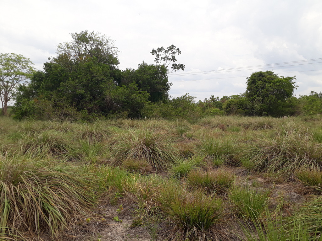 Visão oeste - west view