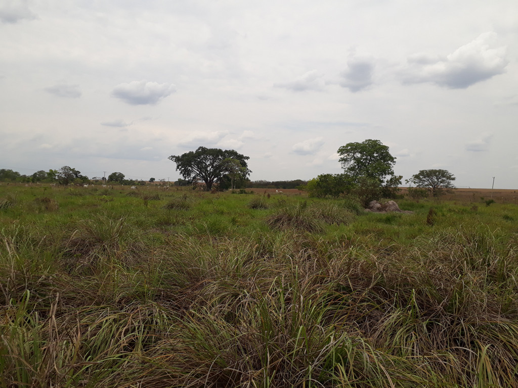 Visão leste - east view